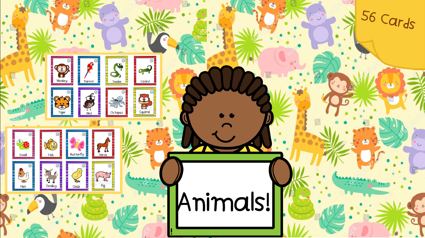 I learn animals through 56 educational cards. 😍